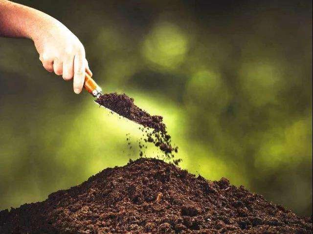 新一輪千億斤糧食產(chǎn)能提升行動在即，鉀肥供給或迎來大高潮（附報告分析）