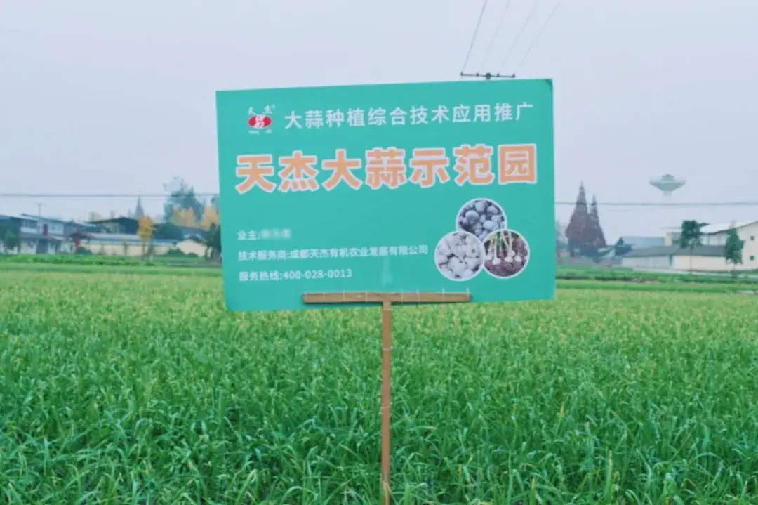 鄉合農服土壤改良：給土地“治病”，讓豐收“生根” 