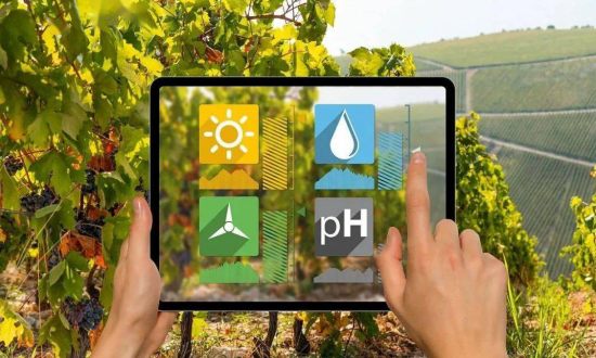 三農(nóng)日報|政策：支持電商平臺下沉農(nóng)村；專家：賦能農(nóng)業(yè)需要全鏈條參與