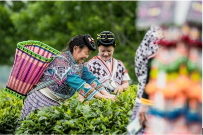 三農(nóng)日報|政策：鼓勵農(nóng)村電商創(chuàng)業(yè)就業(yè)；2023年生鮮電商交易規(guī)模或超6000億元