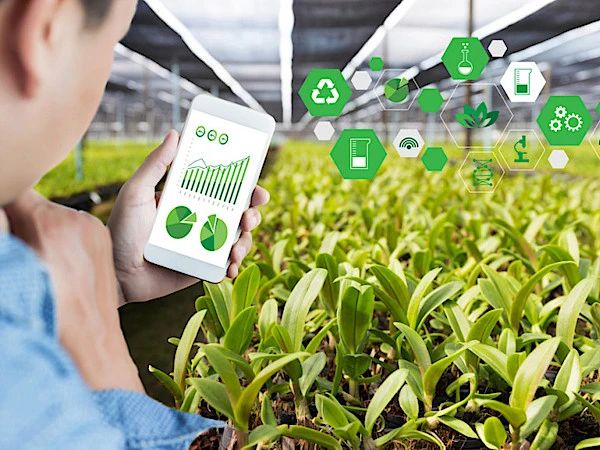 農(nóng)村電商10大趨勢，你準備好跟上時代的步伐了嗎？