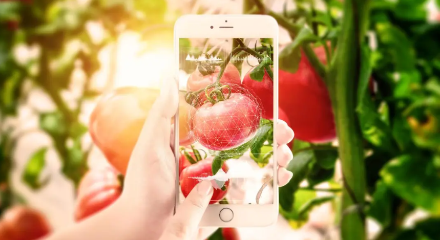 深度拆解！農村電商的困境、原因與出路分析