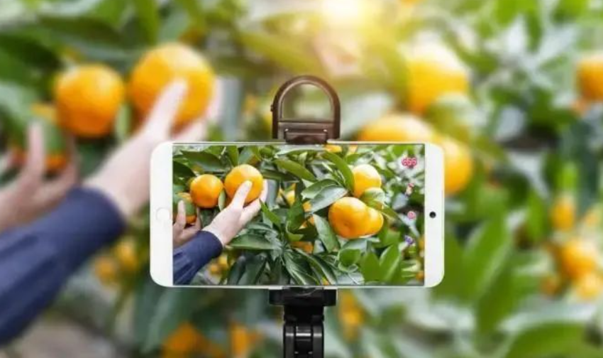 未來農村電商怎么玩，一篇文章講清說透