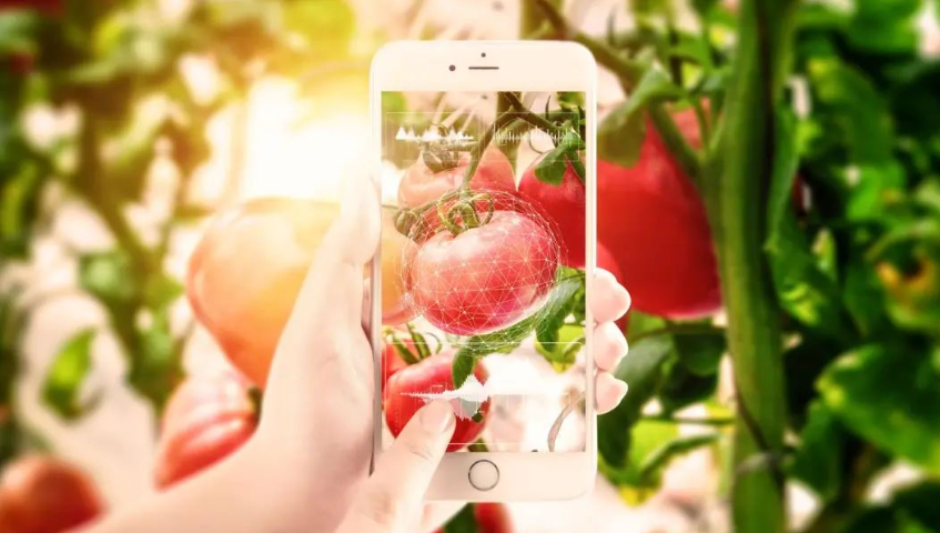 【農村電商】深度拆解！農村電商的困境、原因與出路分析