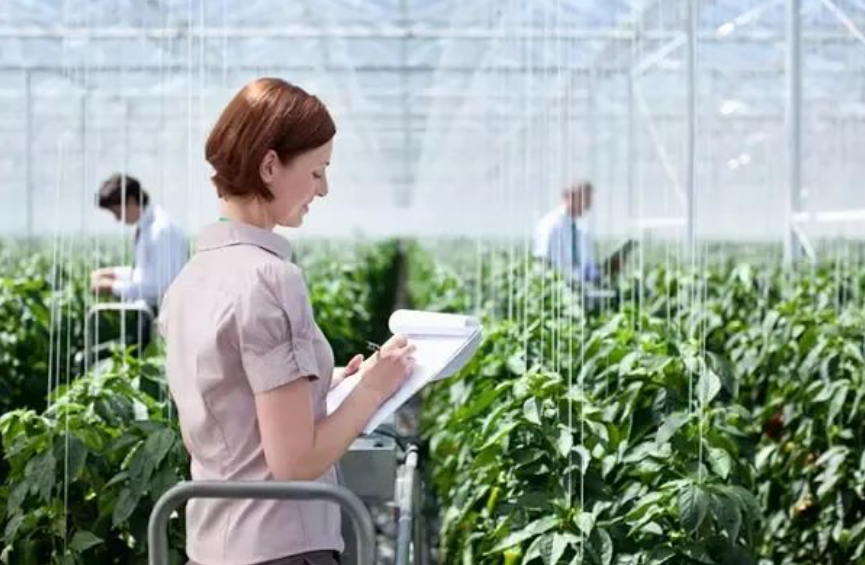 農村電商：進入3.0時代，不是建群而是建網！