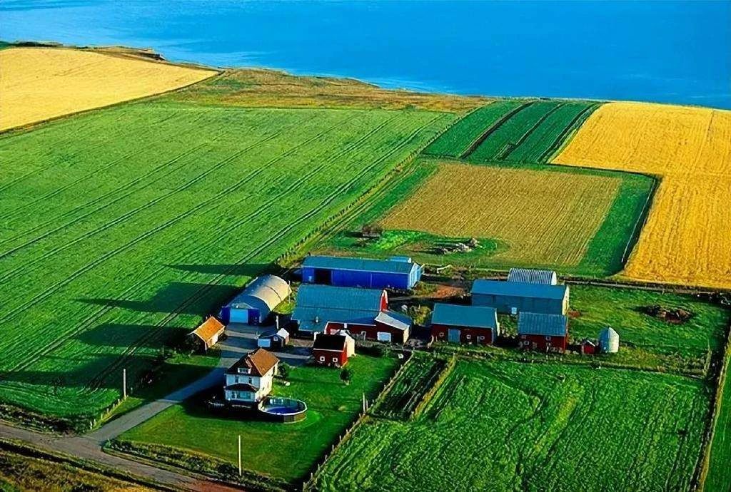 變革正在發(fā)生！巨頭紛紛加碼農(nóng)業(yè)服務(wù)，尋找第二曲線