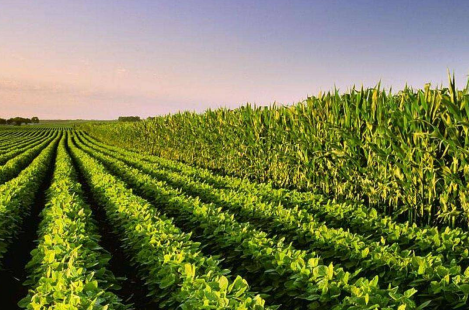 農(nóng)業(yè)產(chǎn)業(yè)周報(bào)|云天化、大疆農(nóng)業(yè)、浙農(nóng)股份、國(guó)聯(lián)水產(chǎn)最新動(dòng)態(tài)；本周6例資本事件