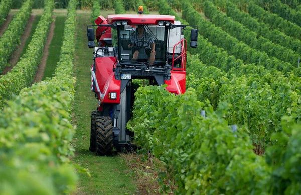千億市場規模！全球農業機器人模式與趨勢