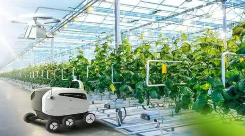 科技改變農業！2025年全球農業科技五大趨勢預測
