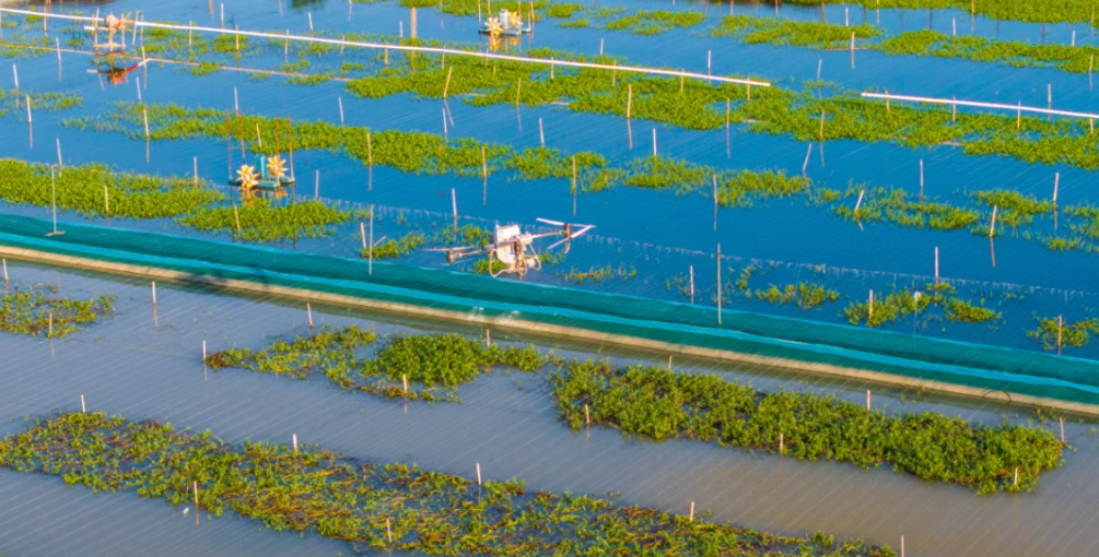 【現(xiàn)代化農(nóng)業(yè)】無人農(nóng)場(chǎng) 應(yīng)該怎么建？——養(yǎng)殖篇