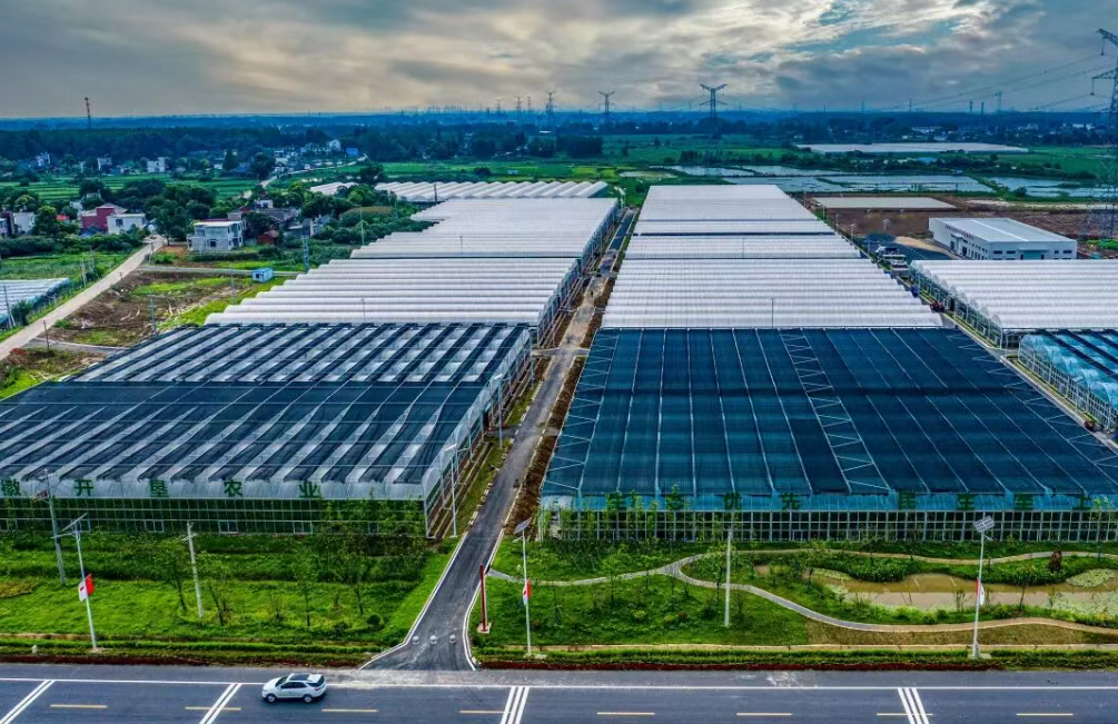 【農(nóng)業(yè)現(xiàn)代化案例】如何在產(chǎn)業(yè)園開展綠色養(yǎng)殖？