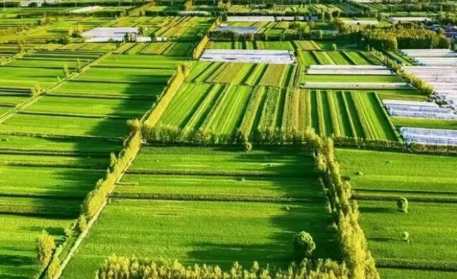 【農業科普】什么是生態農業？生態農業五大模式