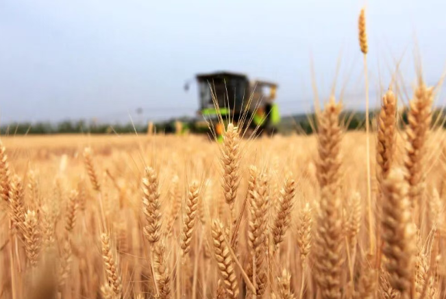 十五五規劃，20次提到農業，有哪些新提法？