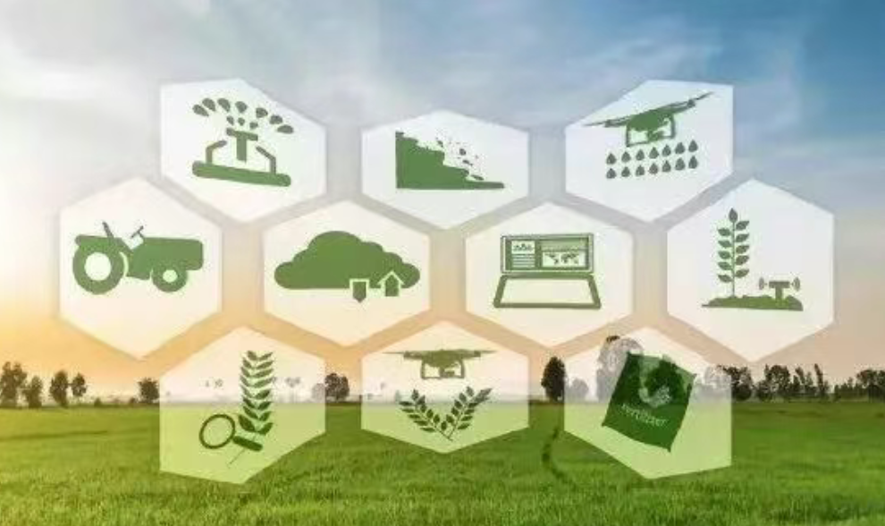 產(chǎn)業(yè)透視！農(nóng)業(yè)全產(chǎn)業(yè)鏈如何增鏈、強(qiáng)鏈、補(bǔ)鏈？