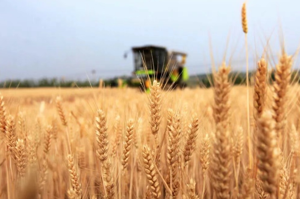 韓俊：提升農業綜合生產能力和質量效益