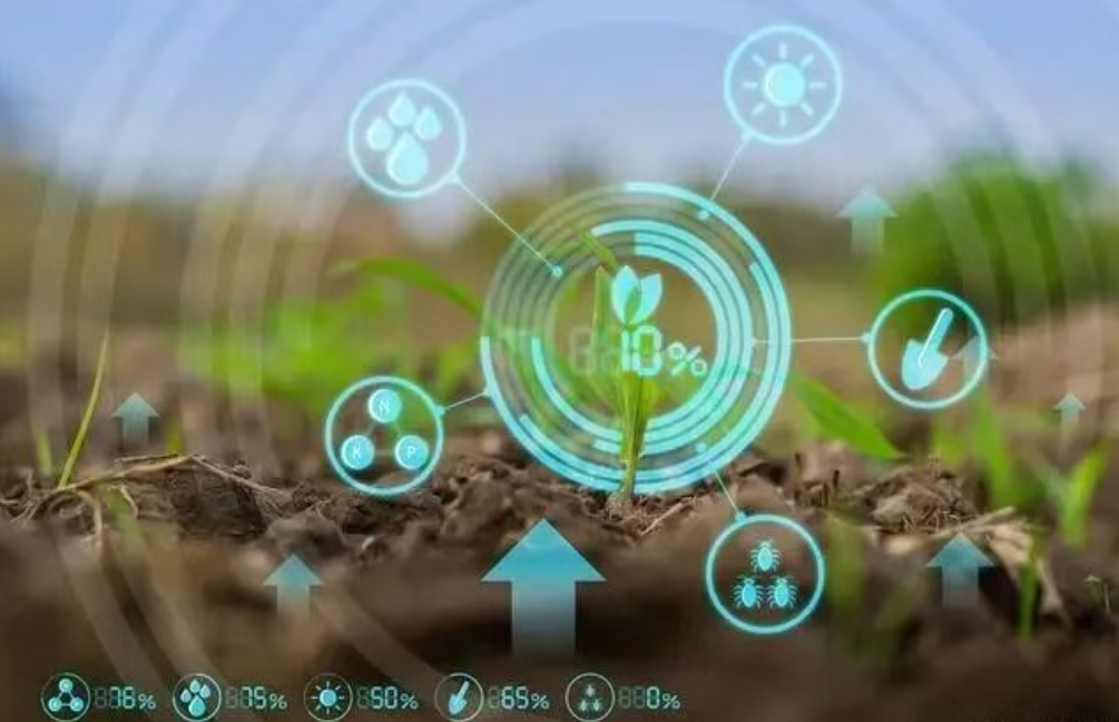 【生態(tài)農(nóng)業(yè)】生態(tài)循環(huán)農(nóng)業(yè)：碳路未來(lái)的綠色革命