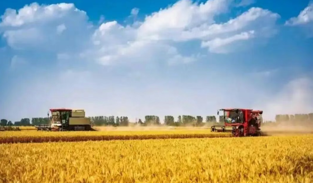 張建華：農業農村現代化如何賦能共同富裕？