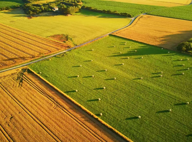 2026 一號文件解讀：高標準農田怎么建？怎么報？