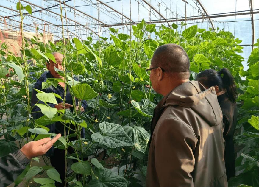 農資行業商業模式揭秘：不靠賣農資產品，靠會員年入百萬