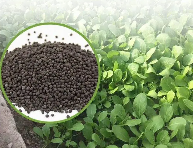 【有機(jī)肥行業(yè)】2025 年有機(jī)肥市場(chǎng)爆發(fā)前夜：這三大細(xì)分領(lǐng)域?qū)⒊尚滤{(lán)海