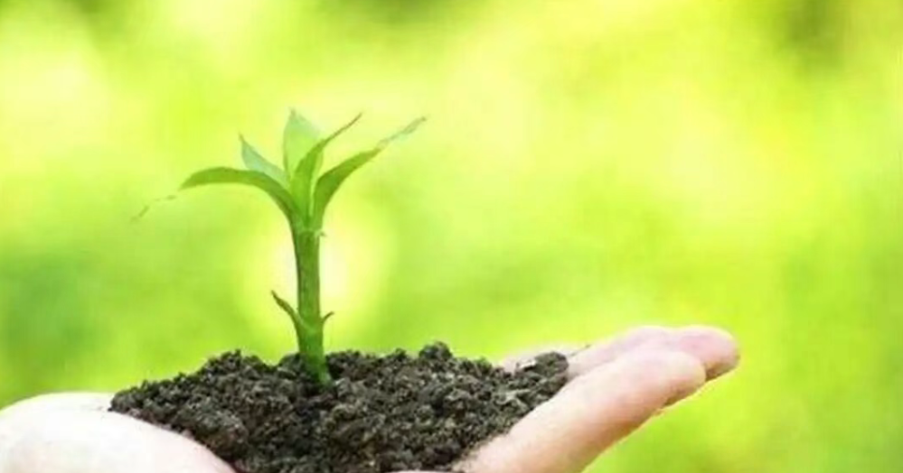 【有機肥產業】規模將達5000億元，但行業尚未形成工業化規模生產