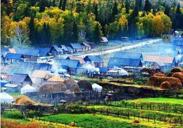 鄉村產業項目創業迎來大爆發！