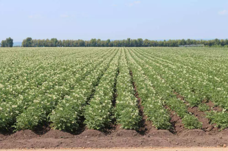 農村空白市場的創業好項目，利潤不錯