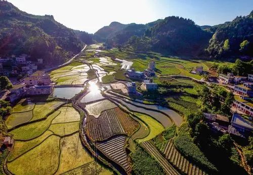 【報告分析】2022中國農(nóng)業(yè)農(nóng)村發(fā)展趨勢報告出爐，未來農(nóng)業(yè)發(fā)展方向在哪里？