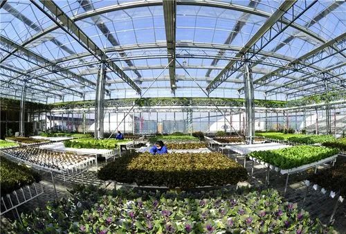 【政策解讀】2021這一年中國農業科技里的高光時刻