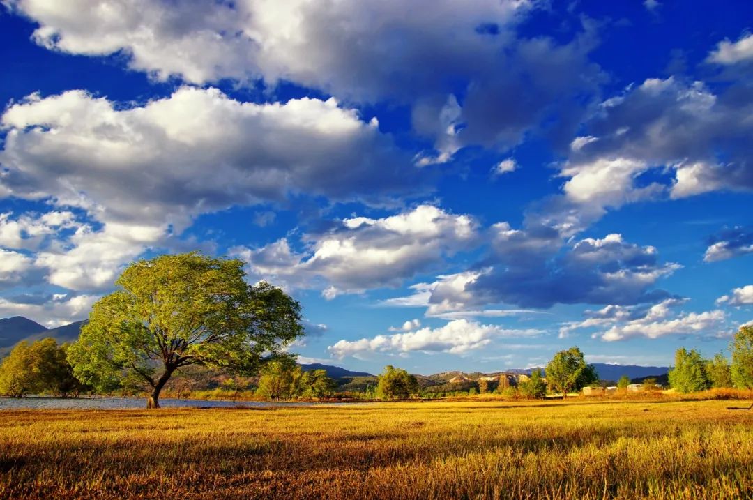 2022鄉村振興如何開局：產業聯動，消費引領