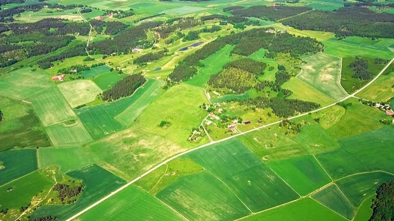 【政策解讀】2022年現代農業產業園申報流程