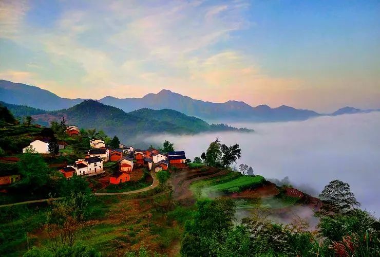 【政策解讀】鄉村產業振興如何發力？中央一號文件起草組成員這樣說