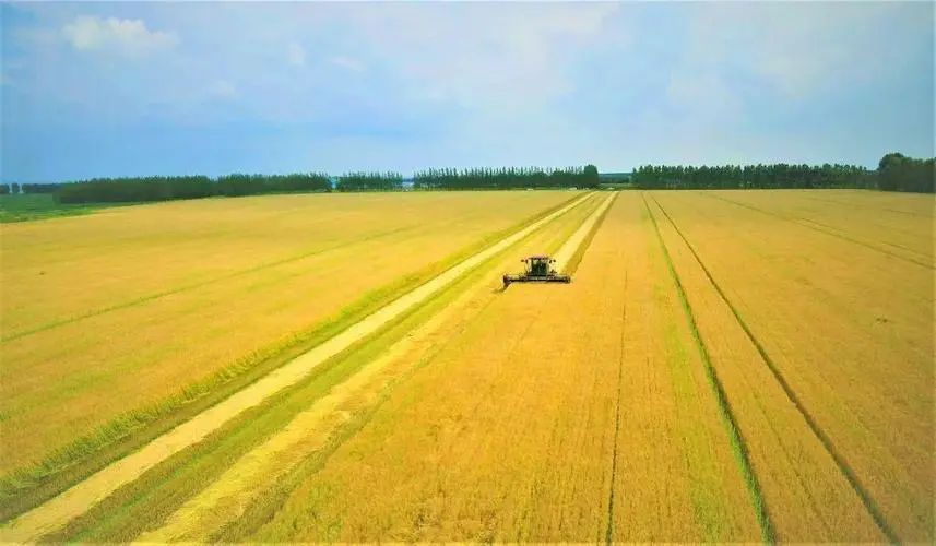 【政策解讀】抓緊申報：2022年創建100個農業現代化示范區