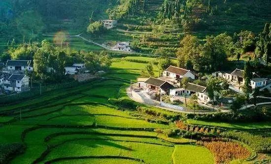 【鄉村振興】鄉村產業發展的關鍵就是，賺錢！