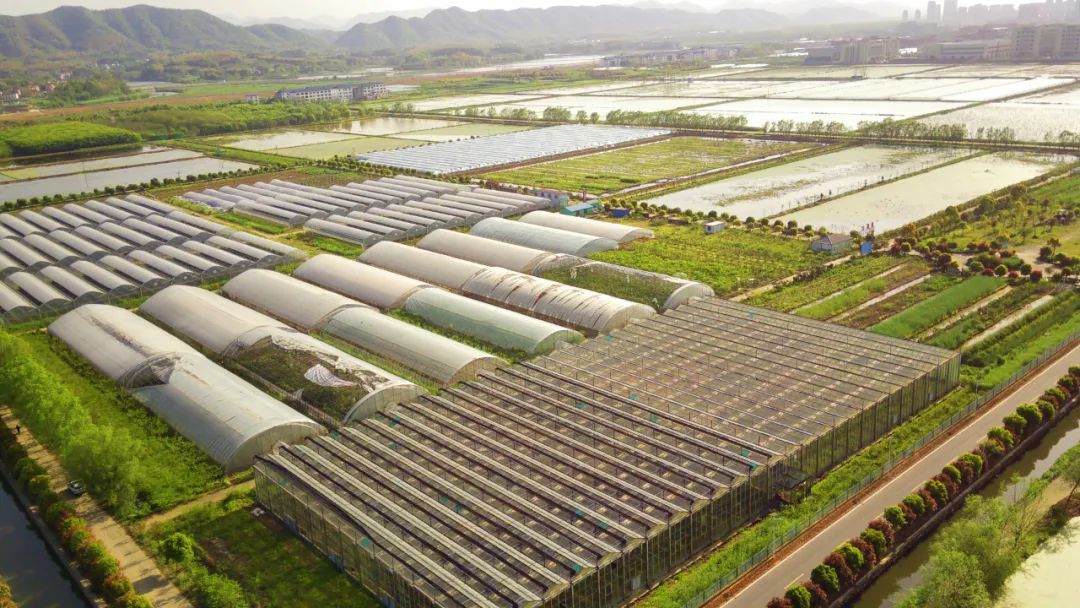 【政策解讀】農業農村部、鄉村振興局：鼓勵投資的13個重點產業和領域