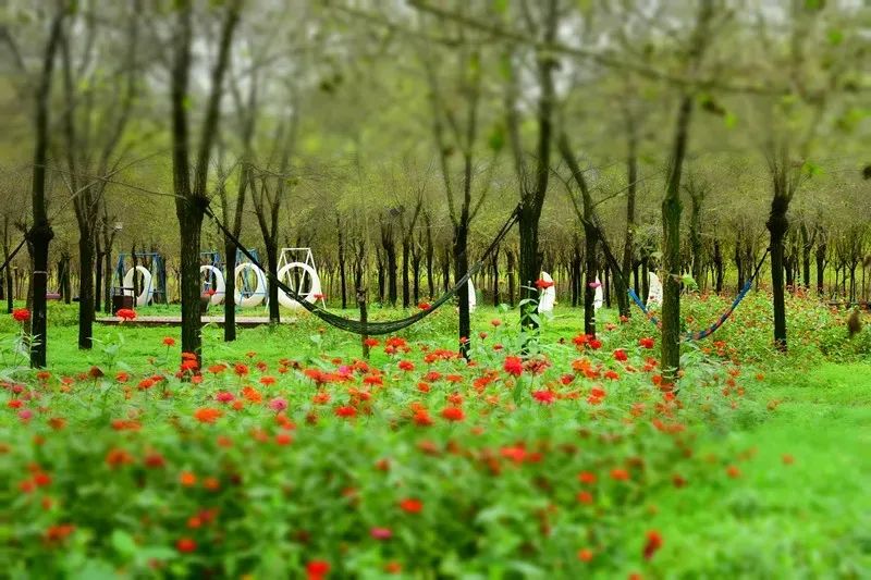 【鄉村振興案例】馬家底村：用“活”閑置資源 讓集體經濟更“壯”