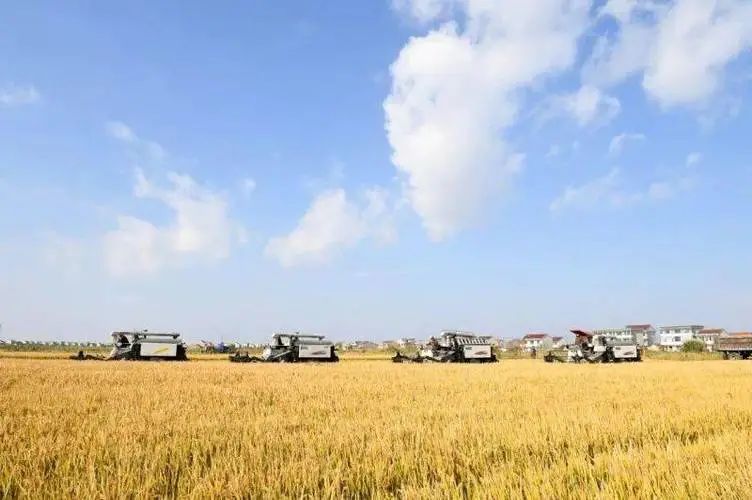 【政策解讀】三部門：重點發展農村電商、智慧農場等產業 ，推動鄉村振興 （附通知）