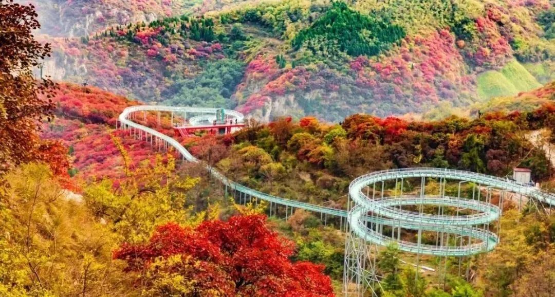 盤點！36個典型的鄉村振興案例，你認可哪一種