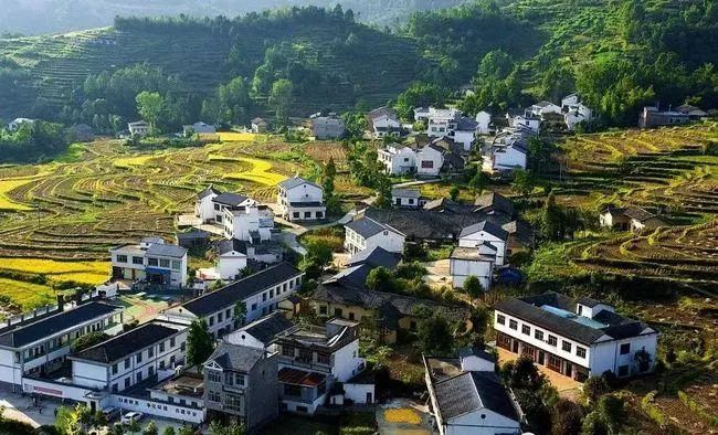 【鄉村振興】國家鄉村振興重點幫扶縣干什么、怎么干？國家鄉村振興局局長一次講透了