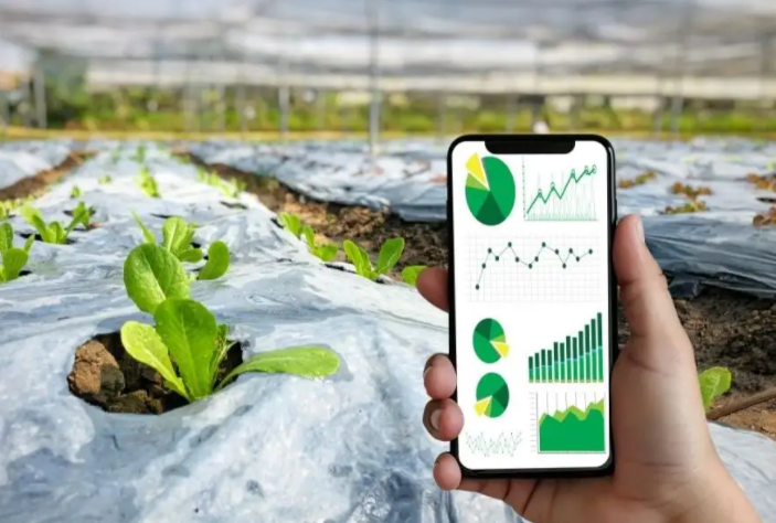 淘金鄉村振興，區塊鏈技術如何賦能（萬字雄文）