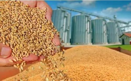 【政策解讀】國務院關于印發扎實穩住經濟一攬子政策措施的通知