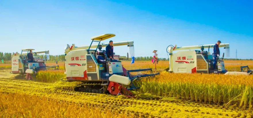 【產業解讀】農業產業化龍頭企業發展特點