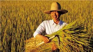 【政策解讀】財政部農業農村部發布2022年重點強農惠農政策