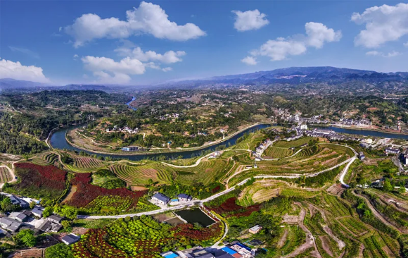 【政策解讀】農業農村部：把就業機會和產業鏈增值收益更多留給農民