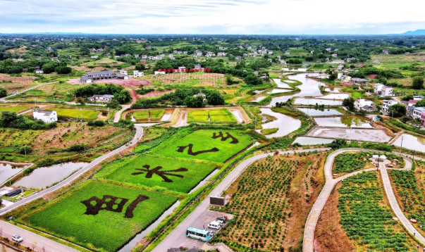 【政策解讀】七大戰(zhàn)略，四項(xiàng)關(guān)鍵，助力農(nóng)村一二三產(chǎn)融合發(fā)展