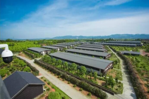 中央財政支持新創建50個國家現代農業產業園推動鄉村產業振興！