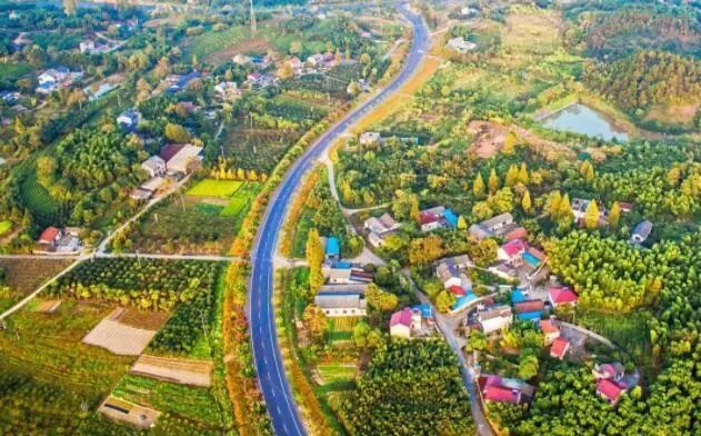 【鄉村振興】姜長云：鄉村產業發展中存在的五個問題