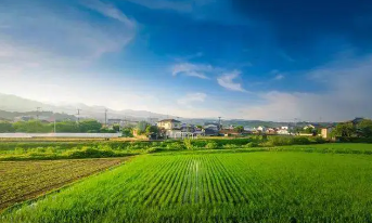 【深度報告】數字鄉村——農業產業鏈信息化觀察