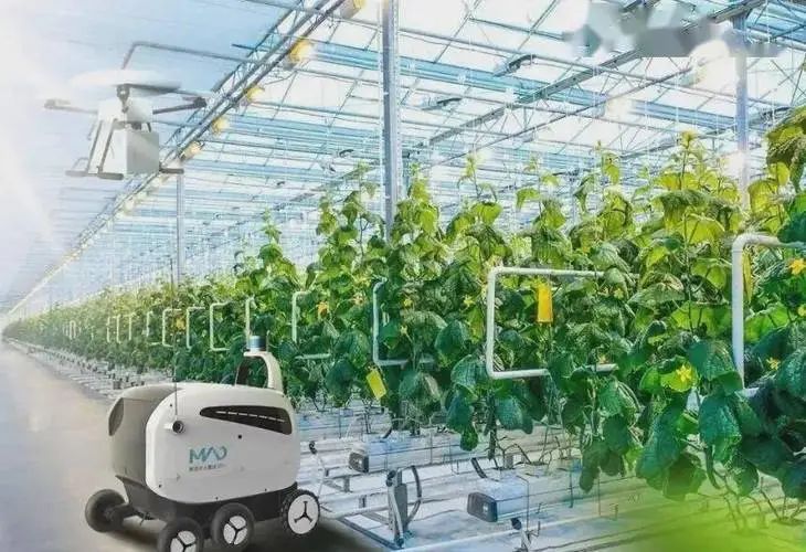 【政策解讀】政策有支持！2022-2025 年數字農業農村建設項目儲備指南