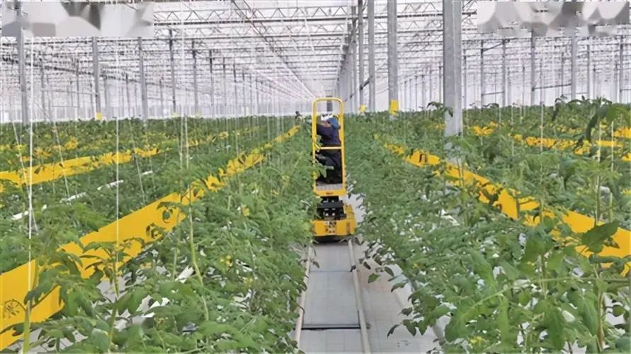 【政策解讀】農(nóng)業(yè)農(nóng)村部關(guān)于開展國家現(xiàn)代農(nóng)業(yè)全產(chǎn)業(yè)鏈標(biāo)準(zhǔn)化示范基地創(chuàng)建的通知